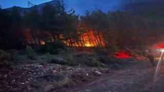 Alanyada ormanlık alanda çıkan yangın kontrol altına alındı