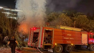 Alanyada sazlık alanda yangın