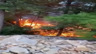 Alanyada yıldırımın düşmesiyle yangın çıktı: 1 dönüm alan zarar gördü