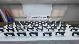 Alıcı kılığına giren jandarma ekiplerinden silah kaçakçılarına darbe: 1 gözaltı