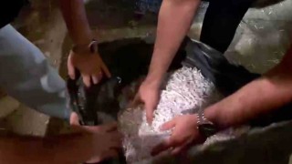 Alihan Kuriş Suç Örgütü soruşturmasında evrak imha ihbarı doğrulandı