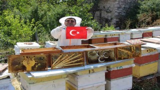 Amasyada arıların seçimi sonuçlandı