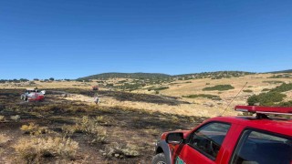 Anız yangını ormanlık alana sıçramadan söndürüldü