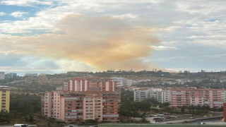 Ankara'da otluk alanda yangın çıktı
