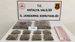Antalyada 5 kilogram skunk esrar maddesi ele geçirildi