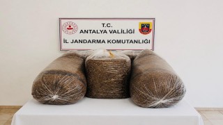Antalyada kaçak tütün operasyonunda 365 kilo tütün ele geçirildi