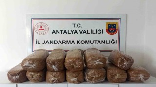 Antalyada üç ilçede kaçak tütün operasyonu: 785 kilogram tütün ele geçirildi