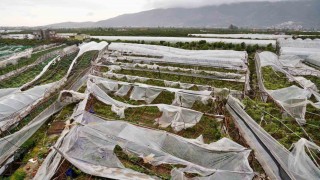 Antalyada üreticilere 1 yılda 657 bin 400 metrekare sera naylonu hibe edildi