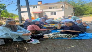 Apar topar İstanbula gittiler, yarım kalan fındık hasadını köylüler tamamladı