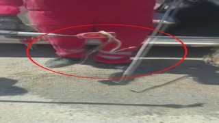 Aracına binerken fark ettiği yılanı itfaiye ekipleri yakaladı