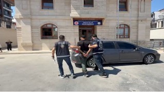 Arnavutköyde ata şiddet uygulayan şahıs yakalandı