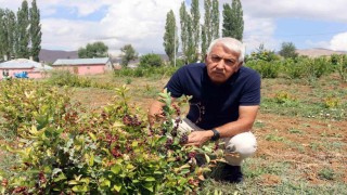 Aronya ile ilçeyi kalkındıracaklar