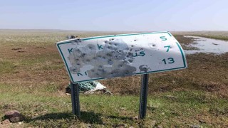 Arpaçayda yol tabelalarını hedef tahtasına çevirdiler