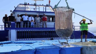 Arsuzda üretilen balıklar Avrupaya ihraç ediliyor