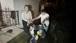 Artvinde yaban domuzu nöbeti: Köylüler mahsullerini korumak için ellerinde sopalarla sabaha kadar bekliyor