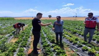 Aslanapada çilek ve biber üreticisine ziyaret