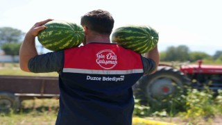 Ata tohumundan üretildi, ihtiyaç sahiplerine ulaştırıldı