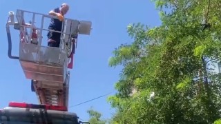 Ayağına dolanan ip kargayı mahsur bıraktı, itfaiye kurtardı