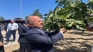 Aydına 100 milyonluk yatırım