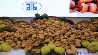Aydında sezonun ilk kuru inciri 850 liradan satıldı