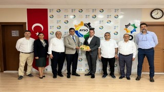 AYSOdan incirde aflatoksin riskine karşı firmalara güçlü hamle: İncir ihracatında kayıpların önüne geçilecek