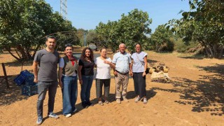 AYTO, Aydın İncirinin marka değerini korumaya devam ediyor