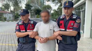 Ayva dalı cinayetinde şaşırtan gelişme: Kurşun ineğin memesinde çıktı