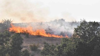 Babaeskide çıkan anız yangını korkuttu