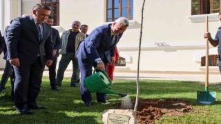 Bakan Bolat, Bilecik Valiliği bahçesinde adını taşıyan çınar fidanını dikerek can suyu verdi
