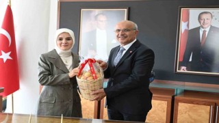 Bakan Göktaş: Çok iyi bir kütüphane olmuş
