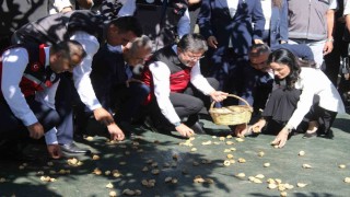 Bakanı Yumaklı Aydında incir hasadına katıldı