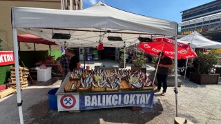Balıkçı esnafından yeni sezon müjdesi, Bu sene denizden balık fışkıracak