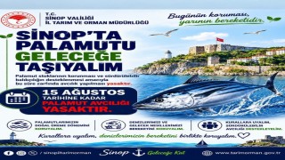 Balıkçılara palamut uyarısı