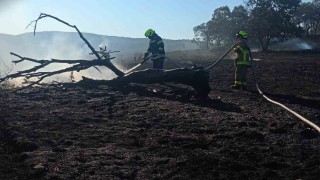 Balıkesir İtfaiyesi temmuz ayında bin 521 olaya müdahale etti