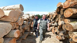 Bandırma Orman İşletme Müdürlüğündeki çalışmalar yerinde incelendi