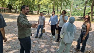 Bartın'da buzağı hediyeli bal festivali