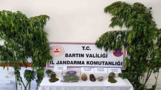 Bartında uyuşturucu operasyonu: 1 gözaltı