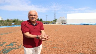 Başkan Güler: Fındığa hem bilimsel hem teknik yaklaşıyoruz