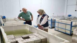 Bayburtta yapı denetim laboratuvarına denetim