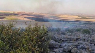 Besnide ormanlık alanda çıkan yangın korkuttu
