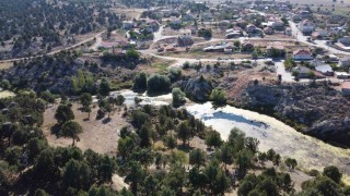 Beyşehirin simge misafirleri göç etti, yuvalar boş kaldı