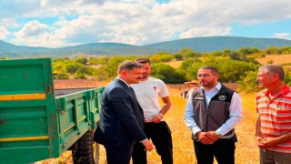 Bilecikte ayçiçeği ekimi 3 yılda 11 bin 700 dekar arttı