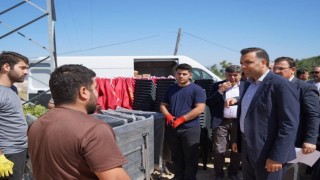 Bilecikte köylere 250 çadır, 250 masa ve 2 bin 500 sandalye desteği
