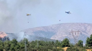 Bilecikte ormanlık alanda yangın başladı