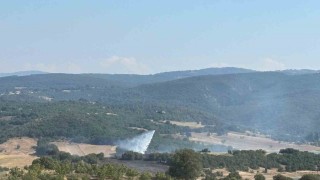 Bilecikte ormanlık alandaki yangın kontrol altına alındı