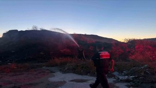 Bilecik'te ot ve çalılık yangını