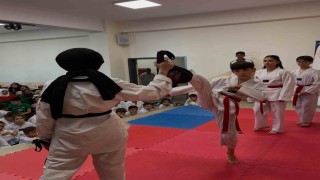 Bilecikte Yaz Spor Okullarında tekvandoya yoğun ilgi