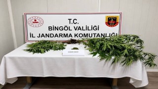 Bingölde kesinleşmiş hapis cezası bulunan 6 zanlı yakalandı