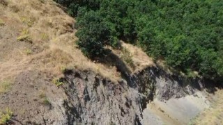 Bingöl'de nesli tükenme tehlikesi altında dağ keçisi görüntülendi
