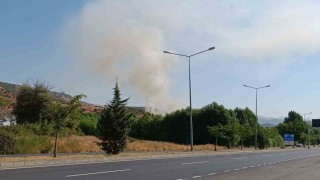 Bingölde otluk alanda çıkan yangın büyümeden söndürüldü